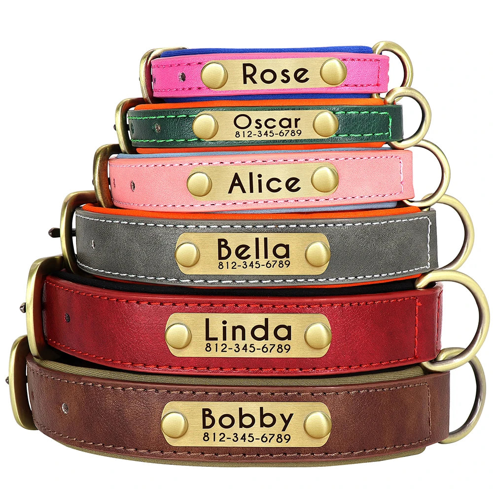 Leather Dog Collar Leash Set With Free Engraved Nameplate - Select-Tips