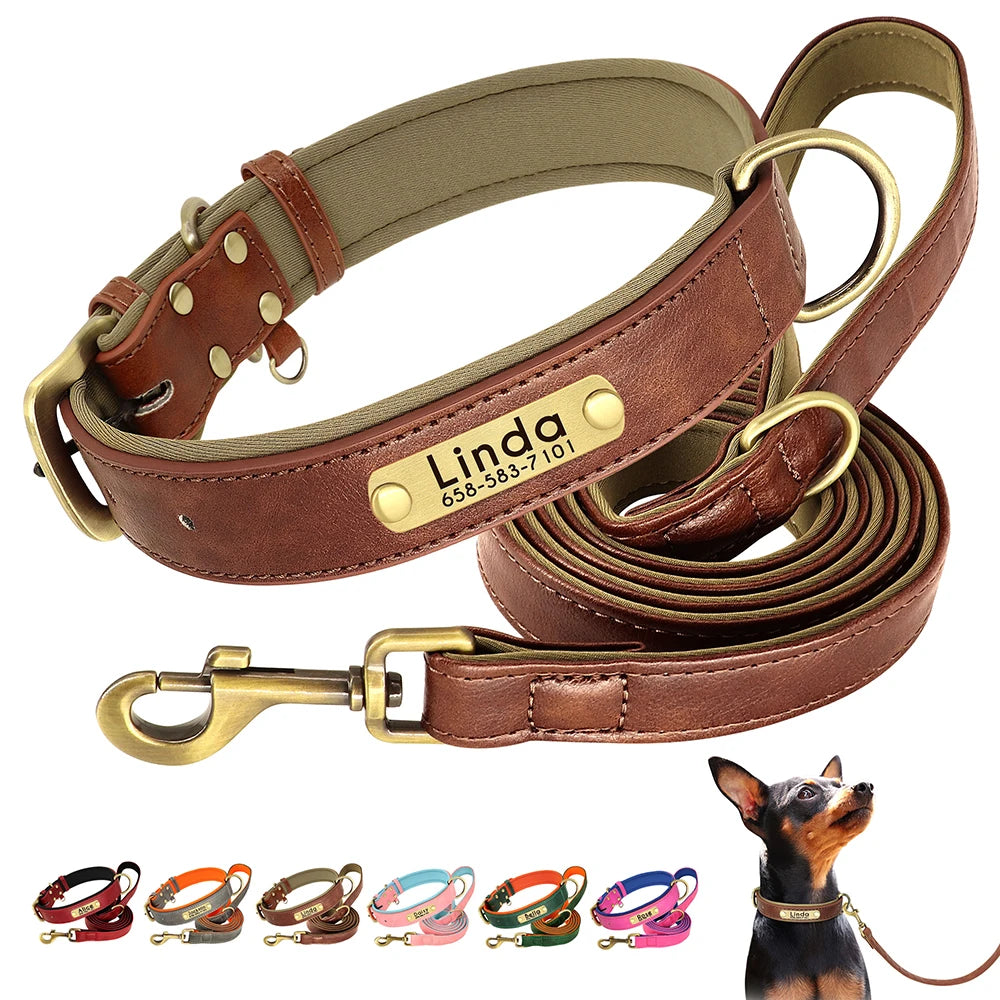 Leather Dog Collar Leash Set With Free Engraved Nameplate - Select-Tips