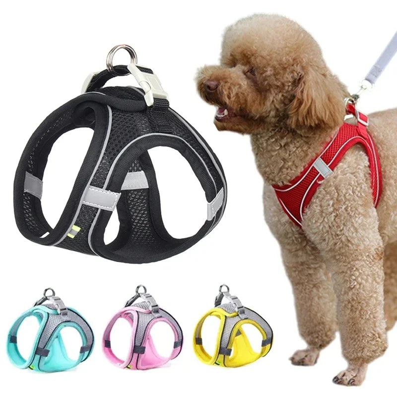 Summer Mesh Harness Vest and Leash Set for Small Dogs/Cats - Select-Tips