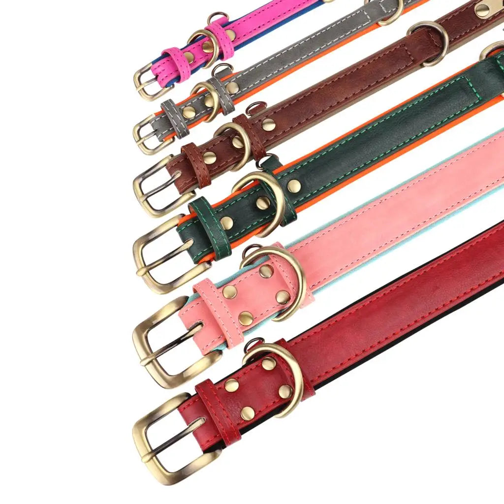 Leather Dog Collar Leash Set With Free Engraved Nameplate - Select-Tips